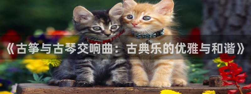 凯发手机官网客户端