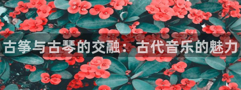凯发国际网络平台网址