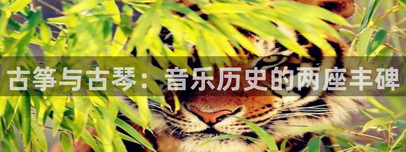凯发一触即发