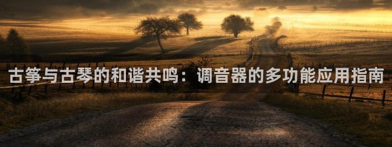 凯发k8手机是正品吗：古筝与古琴的和谐共鸣：调音器的多功能应