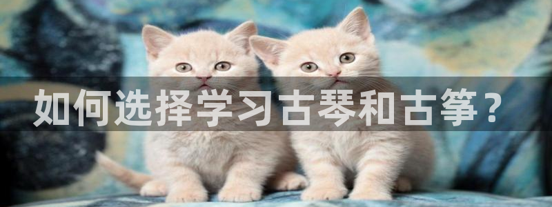 凯发国际平台