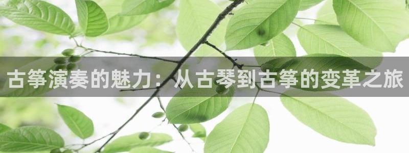 凯发k8是真是假