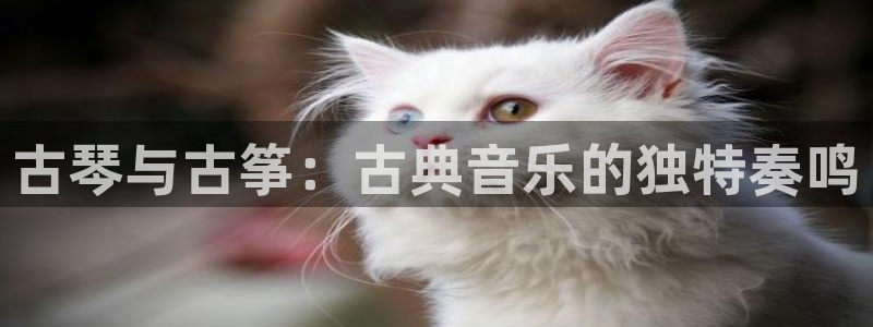 凯发平台首7O777