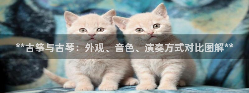 凯发娱乐官方网