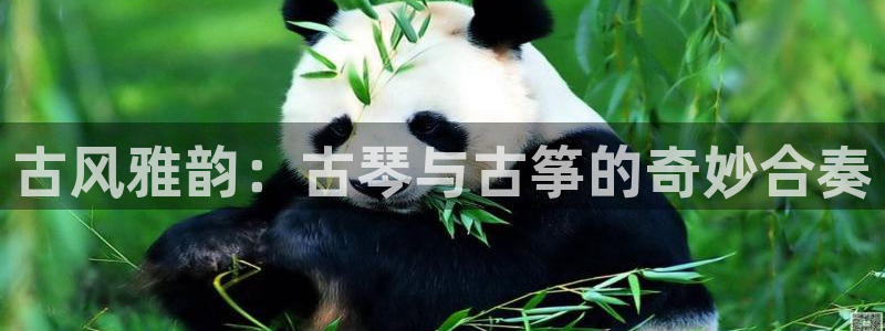 凯发手机官网客户端