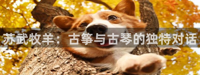 凯发是正规平台吗