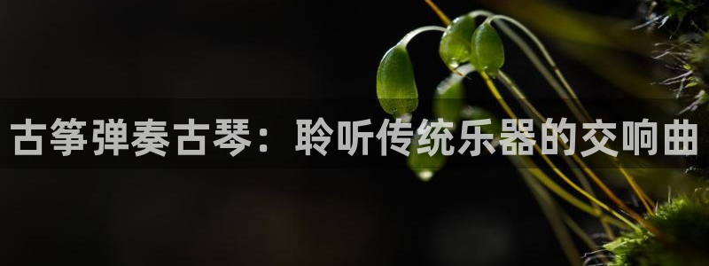 凯发k8官方网娱乐官方真