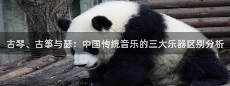 凯发k8娱乐要访问kf6819