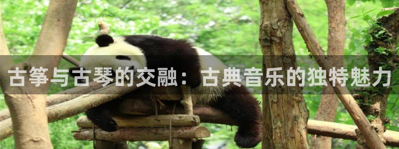 凯发k8娱乐是哪个国家的