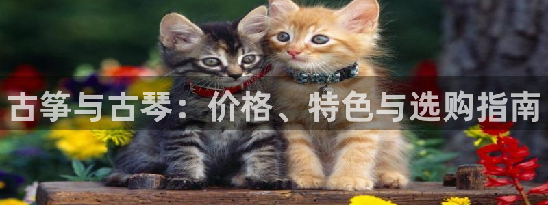 凯发k8国际真人版可靠送38元