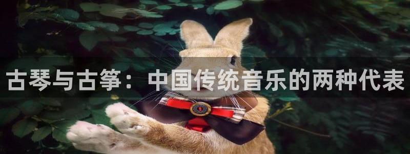 凯发k8国际不能提款了吗：古琴与古筝：中国传统音乐的两种代表