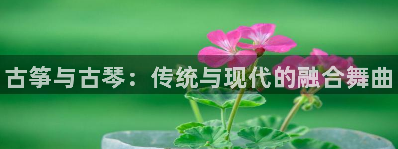 凯发k8官方网娱乐官方真：古筝与古琴：传统与现代的融合舞曲